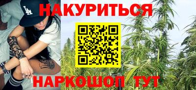 индика Краснознаменск