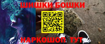 индика Краснознаменск
