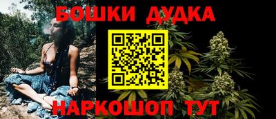прущие грибы Краснокаменск