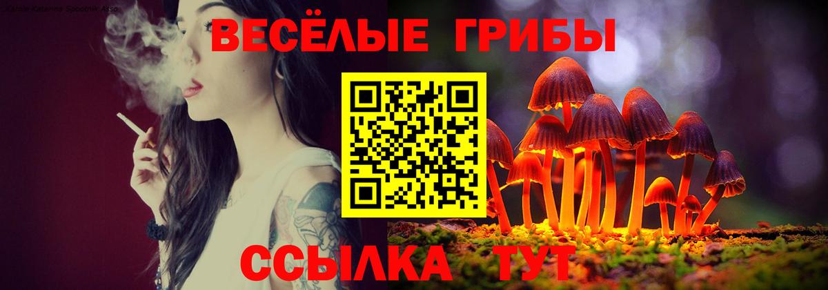 Галлюциногенные грибы Cubensis Кирово-Чепецк